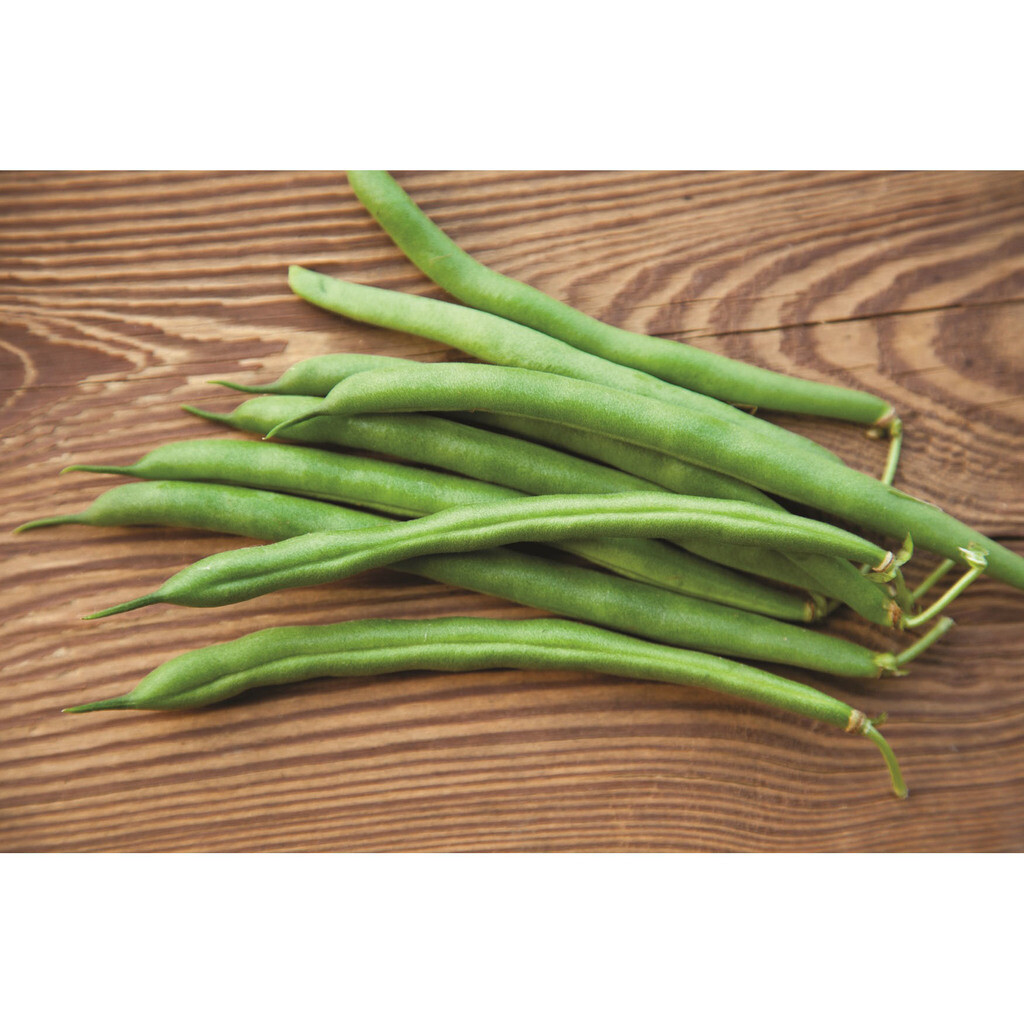 Haricot nain vert