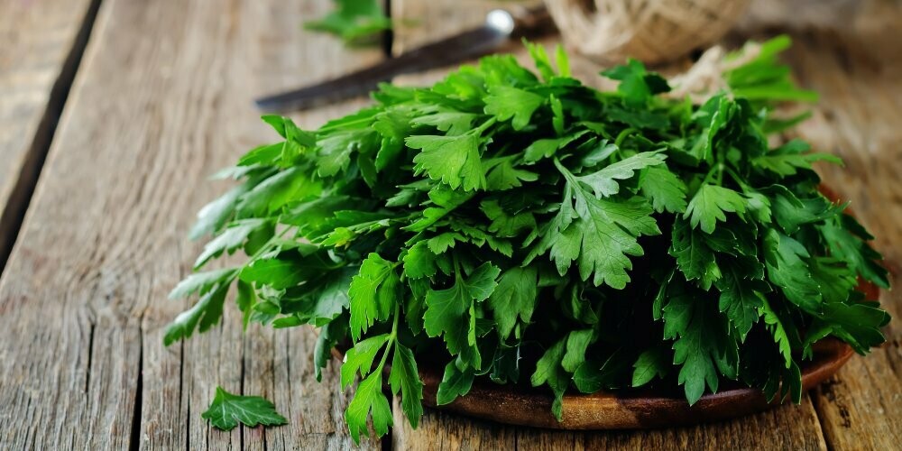 Persil plat italien
