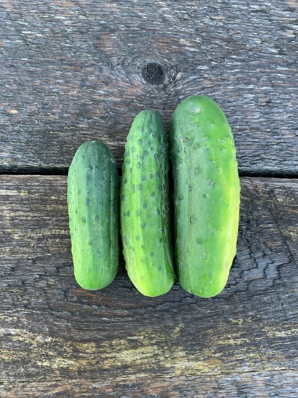 Cornichons