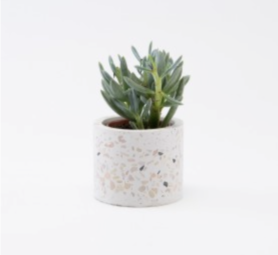 Bloempotje terrazzo wit