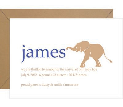 Elephant Baby Announcement