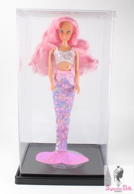 Foldable Plastic Doll Case