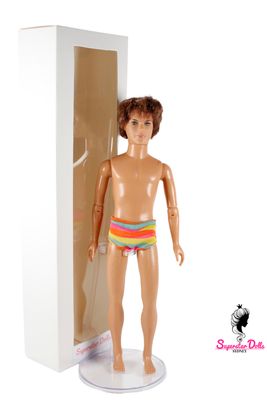 2000's Era "High School Musical-Troy" Zac Efron DE-BOXED Ken Barbie Doll