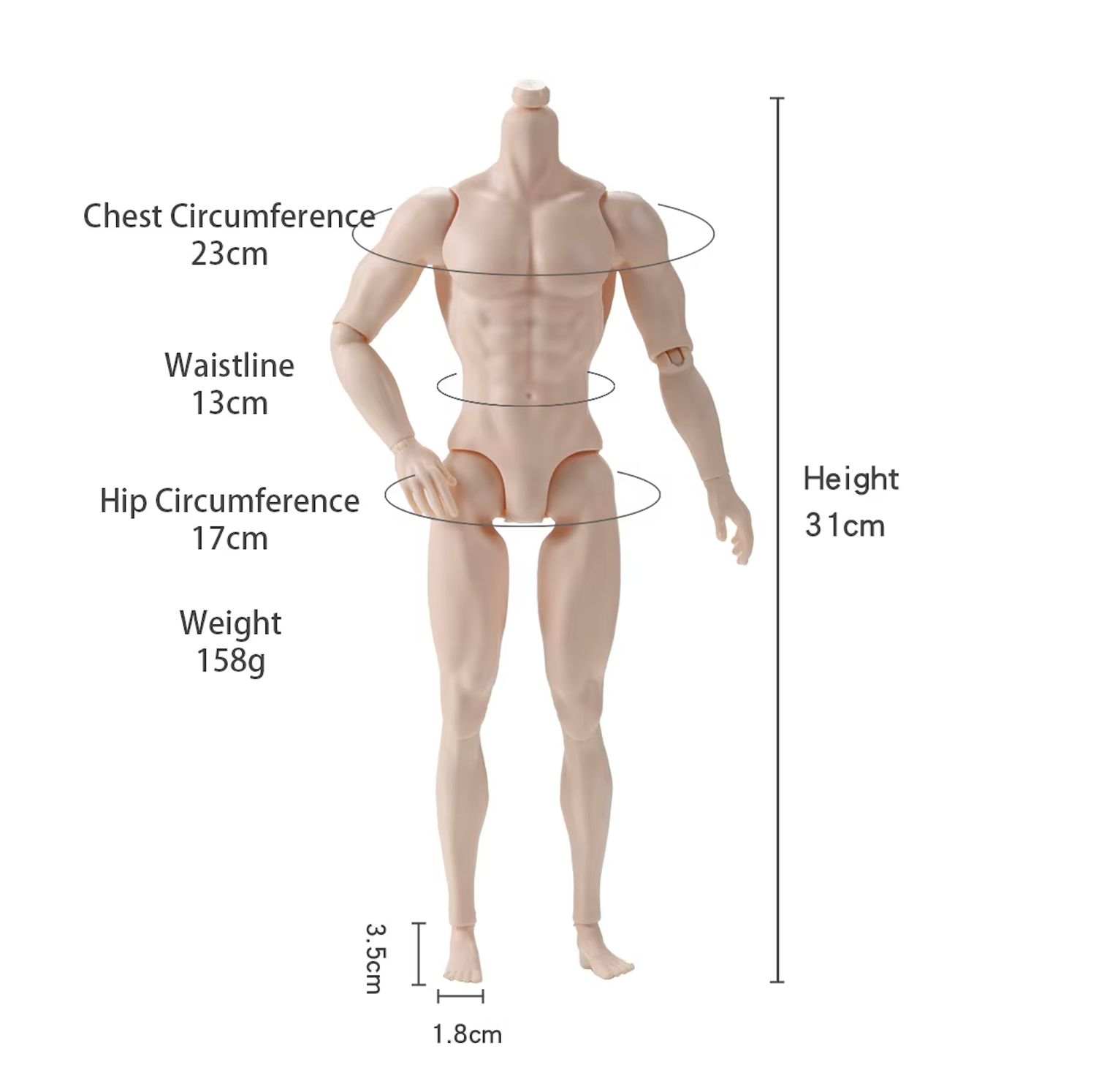 PRE-ORDER: "Muscle Man" 13.5" (Adonis Style) Dressed Male Fashion Doll-Model 2