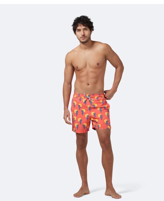 TOM and TEDDY SWIMWEAR