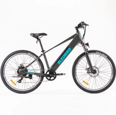 Bleubird Summit Hybrid