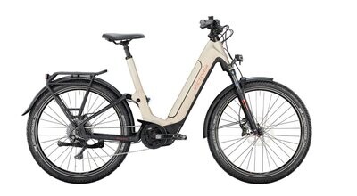 Victoria E-PARCOURS 12.8 good grey matt FULLY! Victoria E-PARCOURS 12.8 good grey matt FULLY!