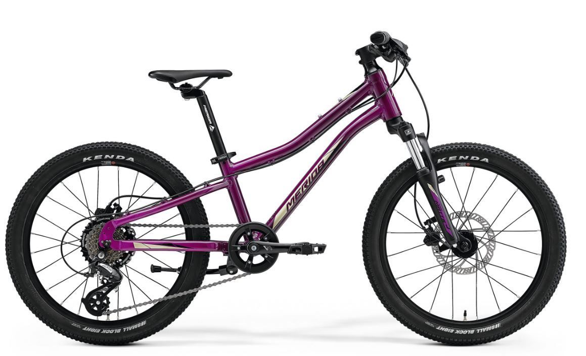 Merida Kids MTB Suspension MATTS J.20 purple, Größe: 20" purple (black/champagne)