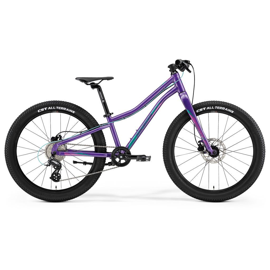 Merida Matts J 20 Kids Bio Bike in evergreen