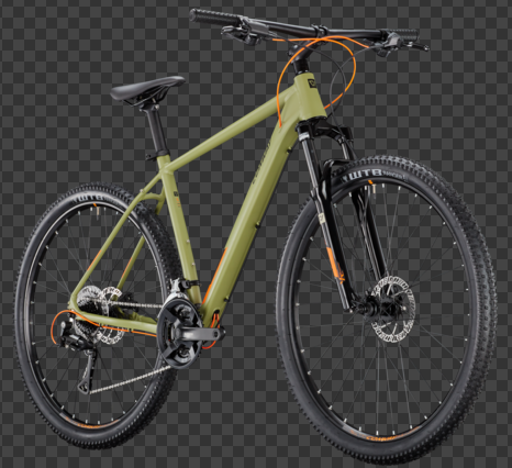 Razz 4.0 Hardtail olive matt MTB