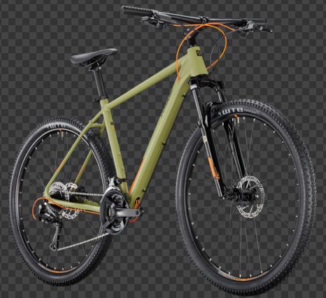 Razz 4.0 Hardtail olive matt MTB