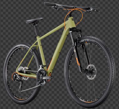Razz 4.0 Hardtail olive matt MTB