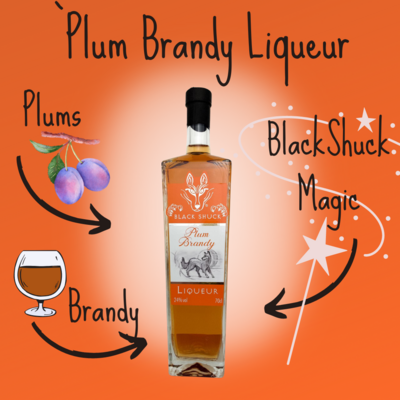 Plum Brandy Liqueur 24% vol