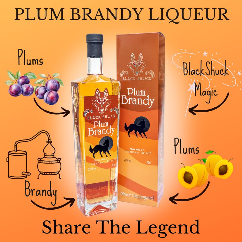 Plum Brandy Liqueur 22% vol