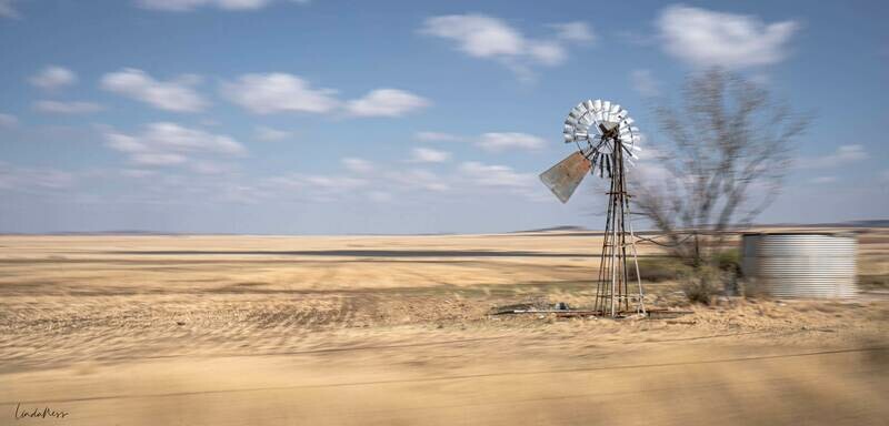Karoo Zoom