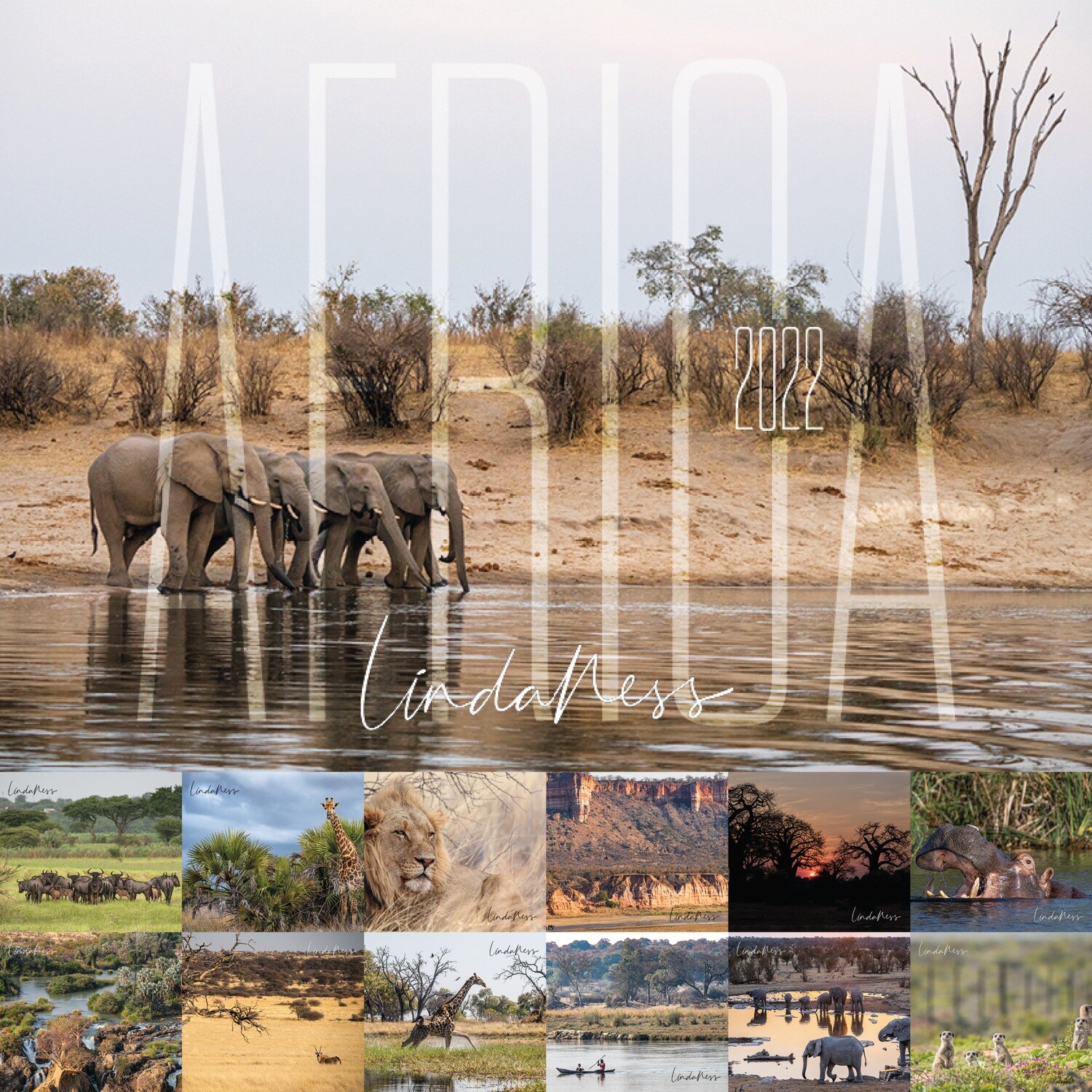 2022 Linda Ness AFRICA calendar