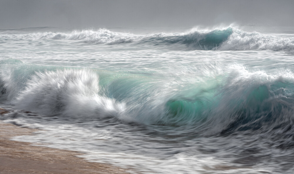 Seashore Seastraw