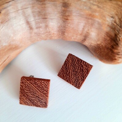Mango Wood Earrings