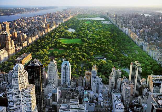 Central Park Wall Mural