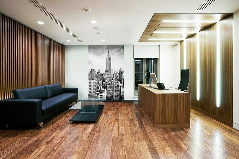 The Empire State Wall Mural