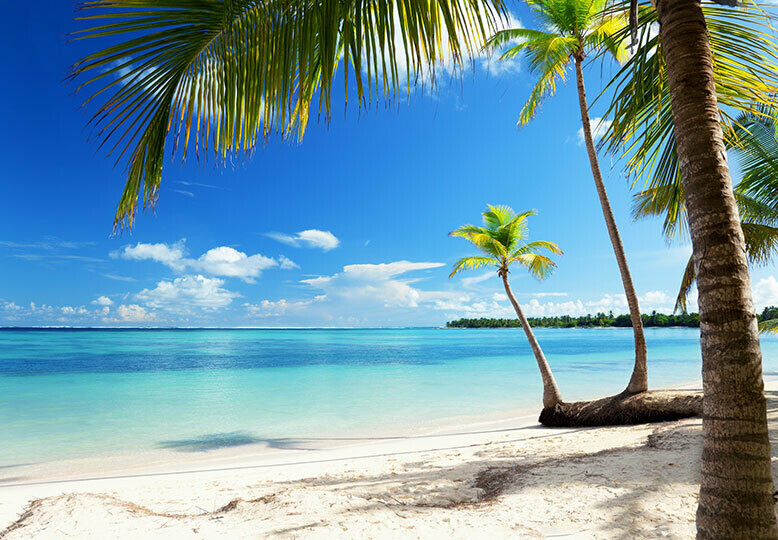 Caribbean Sea Wall Mural