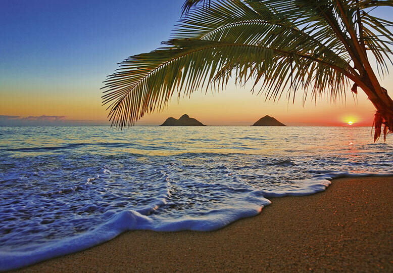 Pacific Sunrise Wall Mural