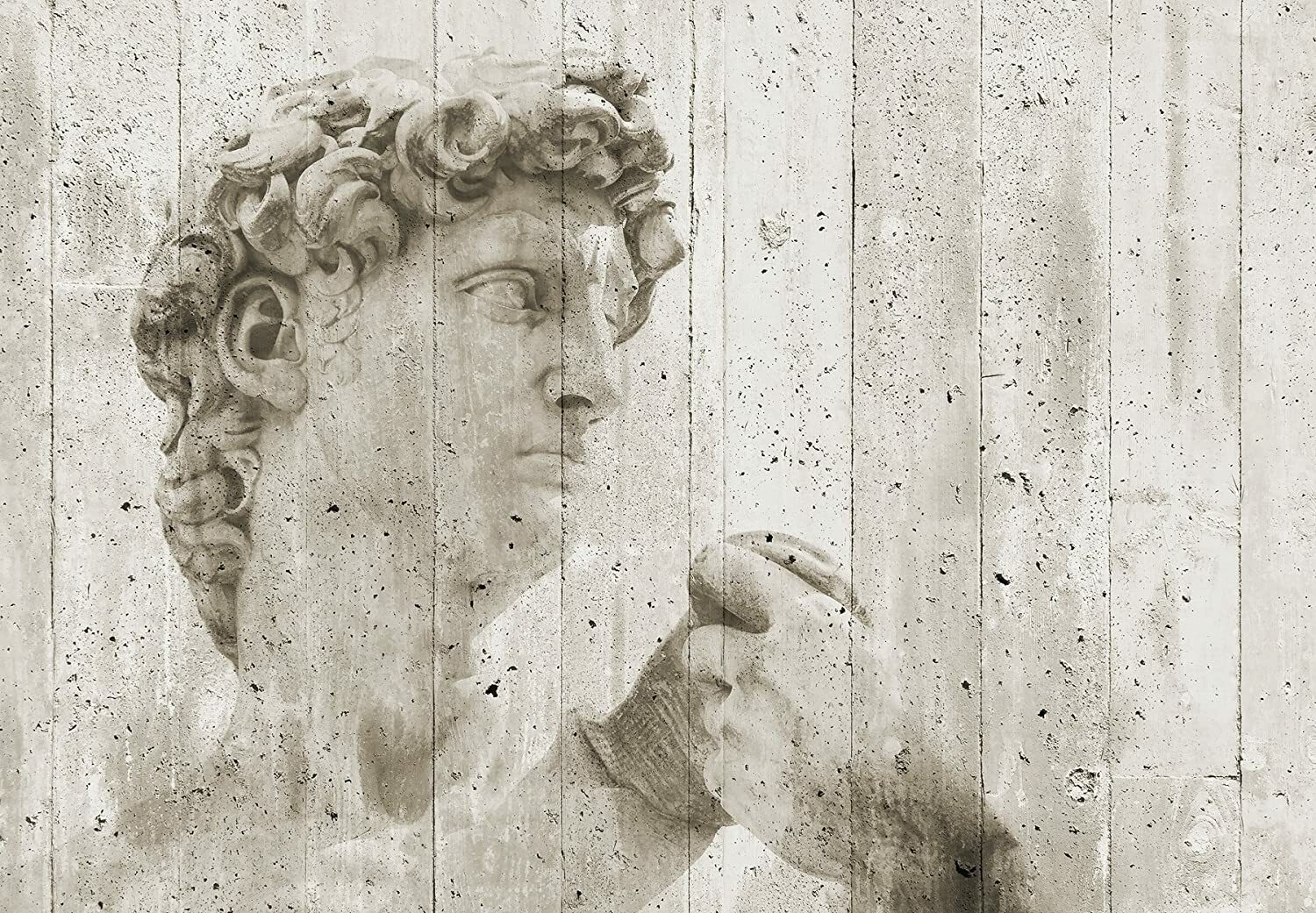 Давид Микеланджело фреска на стену