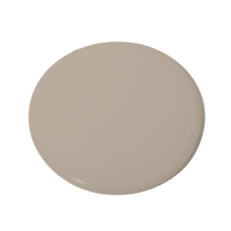 Density 263 Essential Paint Colors
