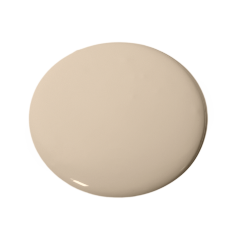 Desert 160 Essential Paint Colors