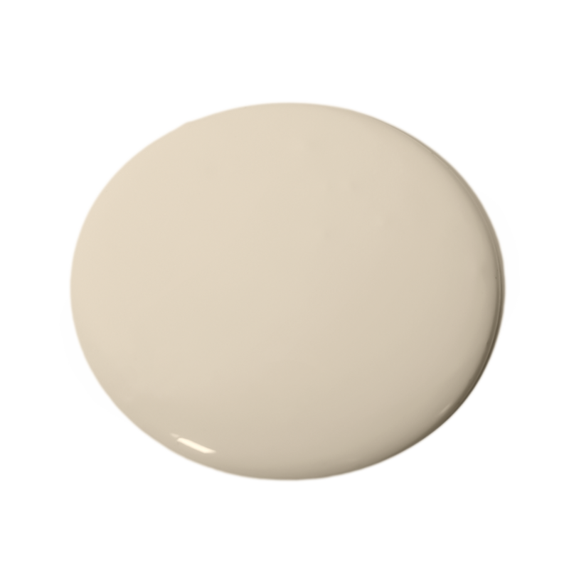 Mushroom 113 Essential Paint Colors