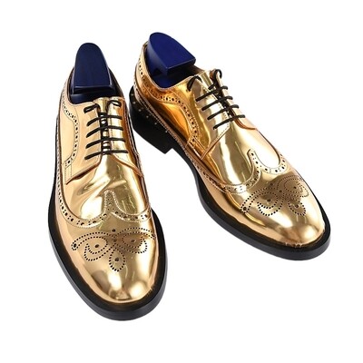 Shinny shoes 