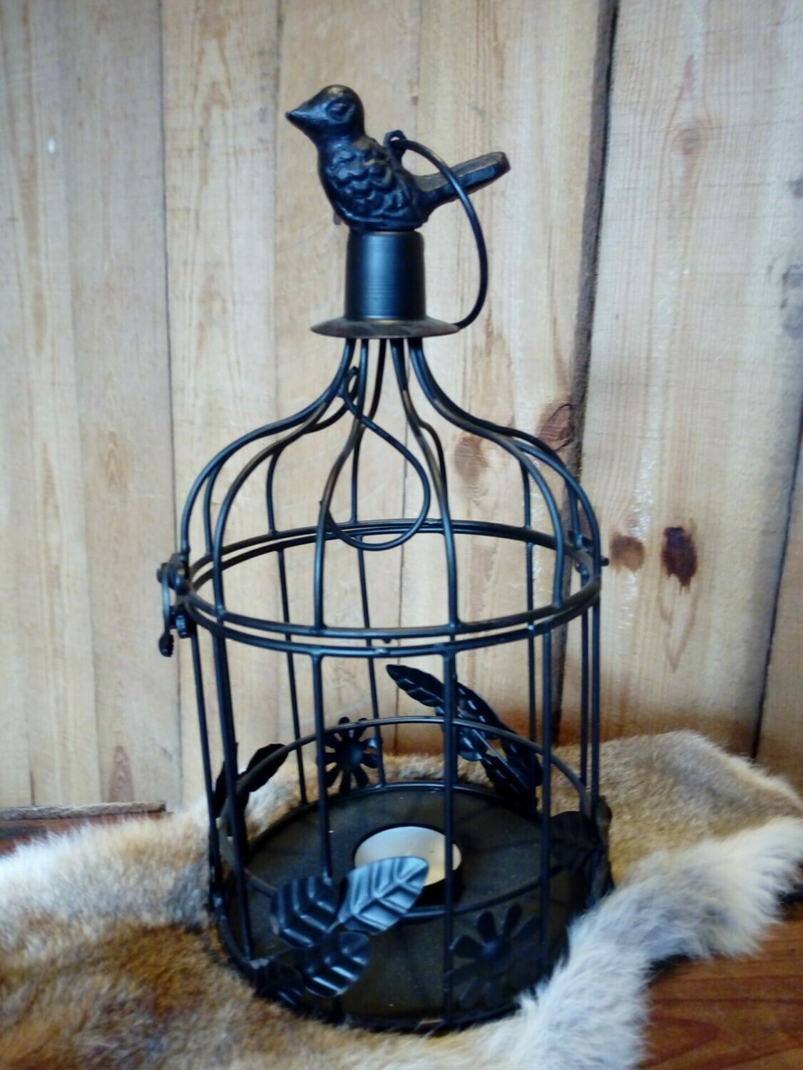 Birdshine