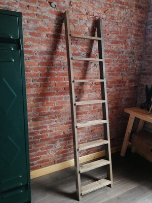 Ladder Eik