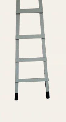 Ladder Boy