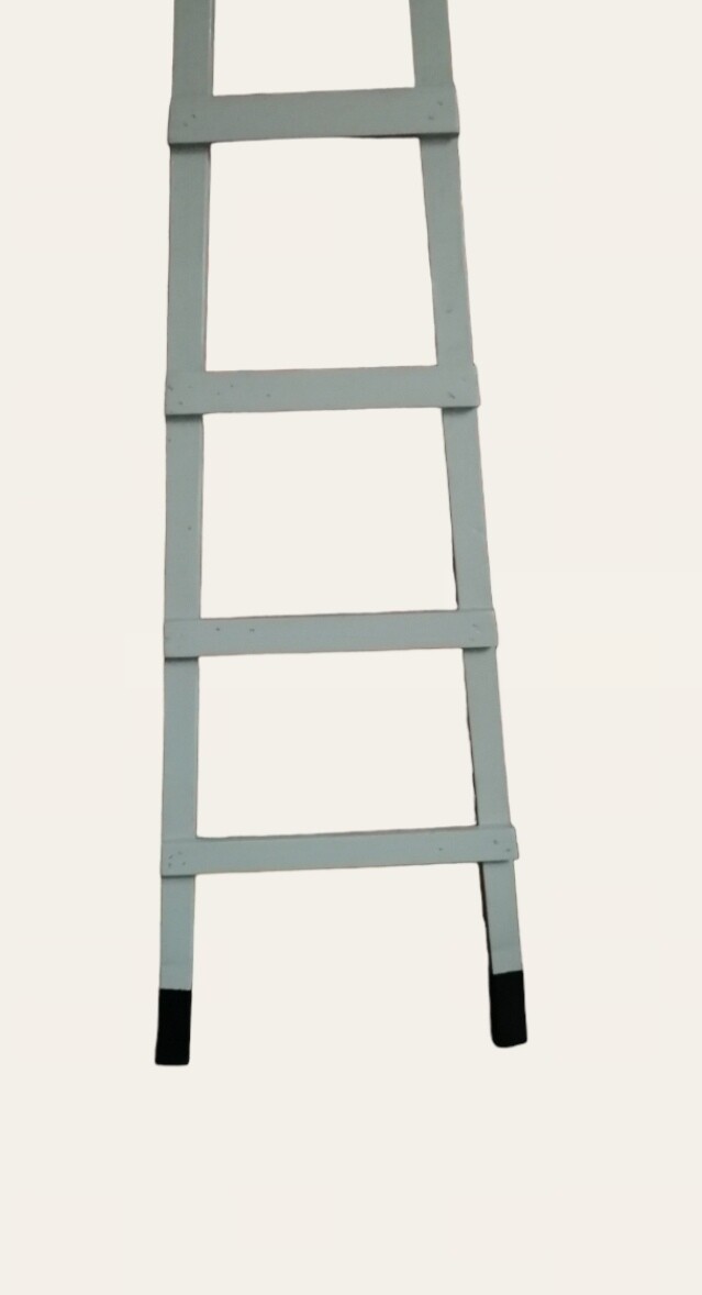 Ladder Boy