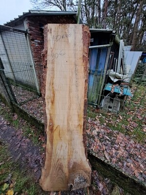 Schaaldeel