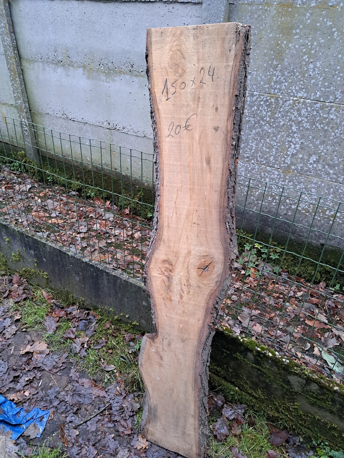 Schaaldeel 
