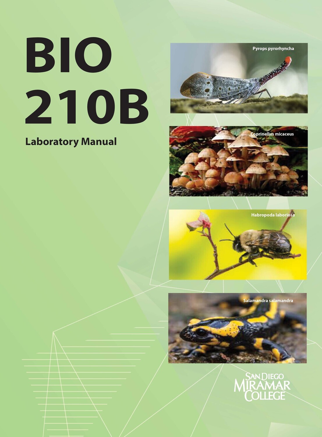 Bio 210B