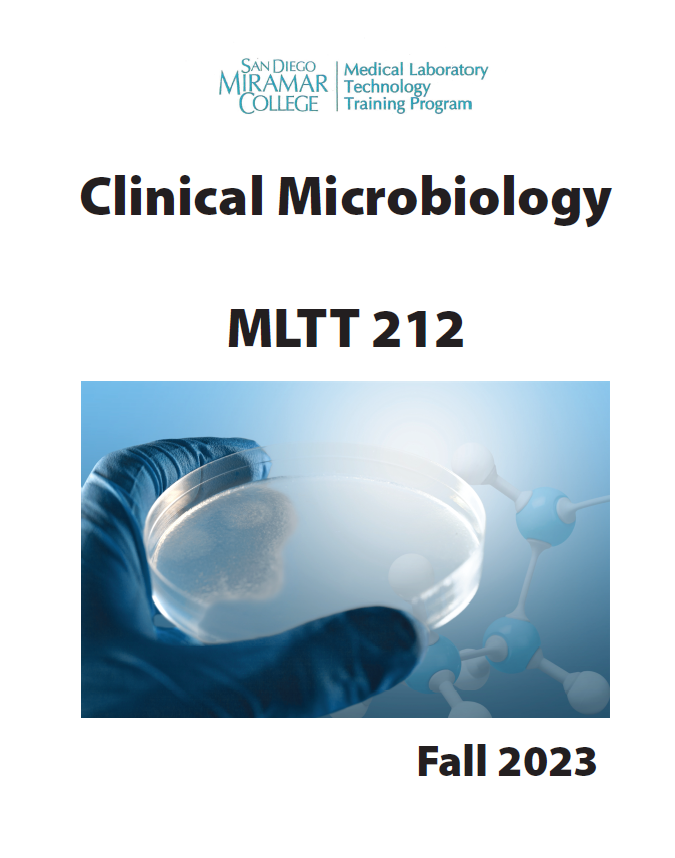 MLTT 212
