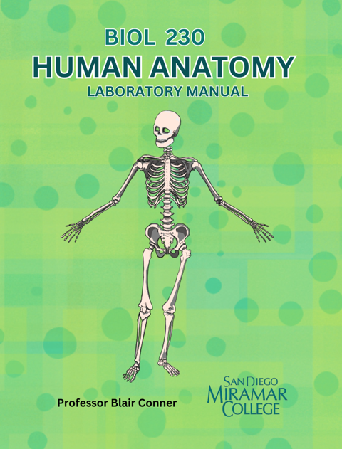 Bio 230 Conner