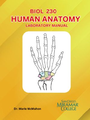 Bio 230 McMahon  Section 23541