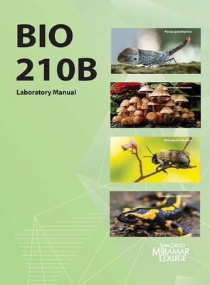 Bio 210B