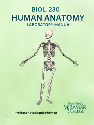 Bio 230 Pleiman