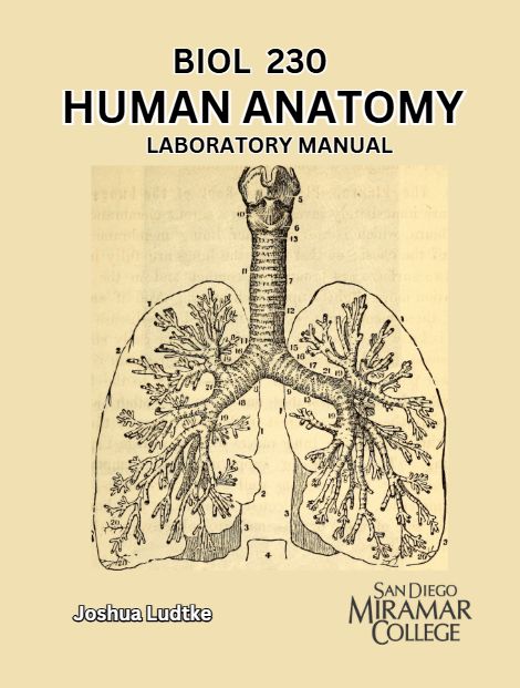 Bio 230 Ludtke