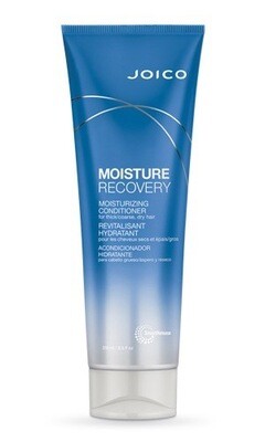 Moisture Recovery Conditioner 250ml