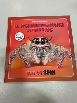 De wonderbaarlijke schepping van de spin