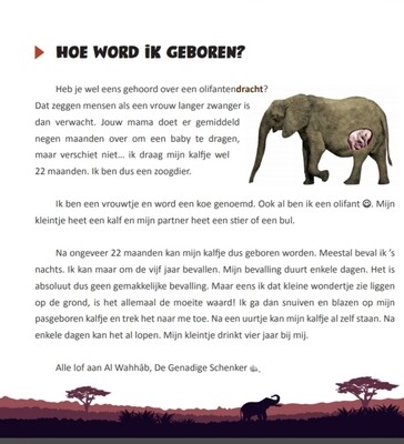 De wonderbaarlijke schepping van de olifant
