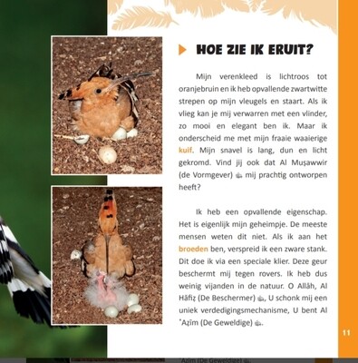 De wonderbaarlijke schepping van de hop