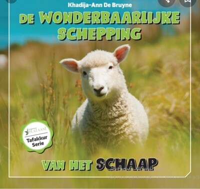 De wonderbaarlijke schepping van het schaap