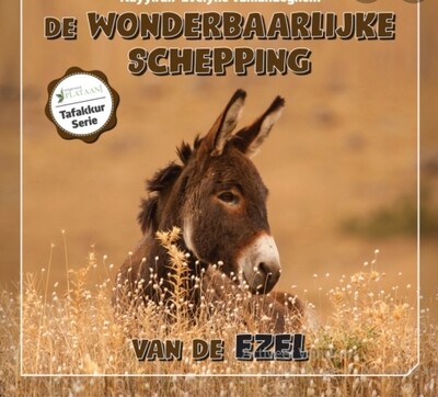 De wonderbaarlijke schepping van de ezel